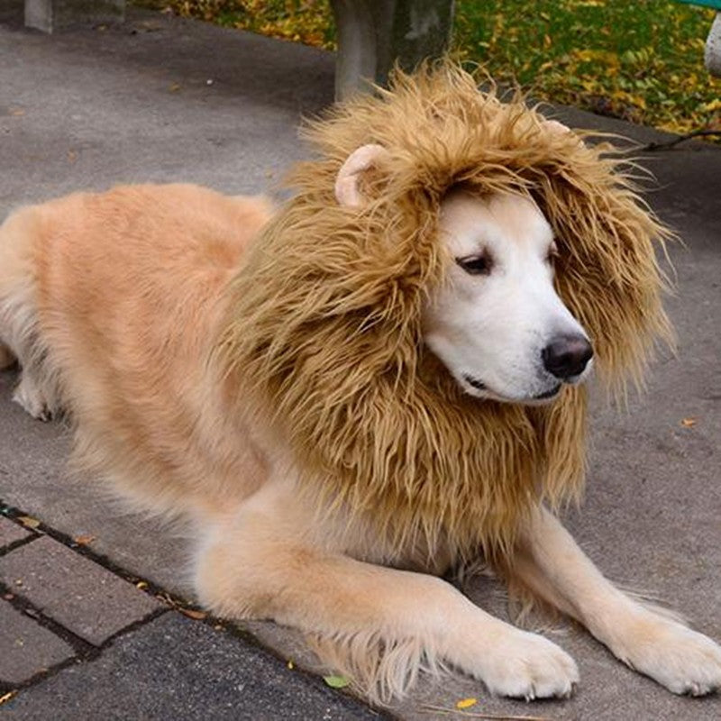 Cute Pet Cosplay Clothes Costume Lion Mane Dog Party Decoration With Ear Pet Apparel
