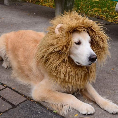 Cute Pet Cosplay Clothes Costume Lion Mane Dog Party Decoration With Ear Pet Apparel